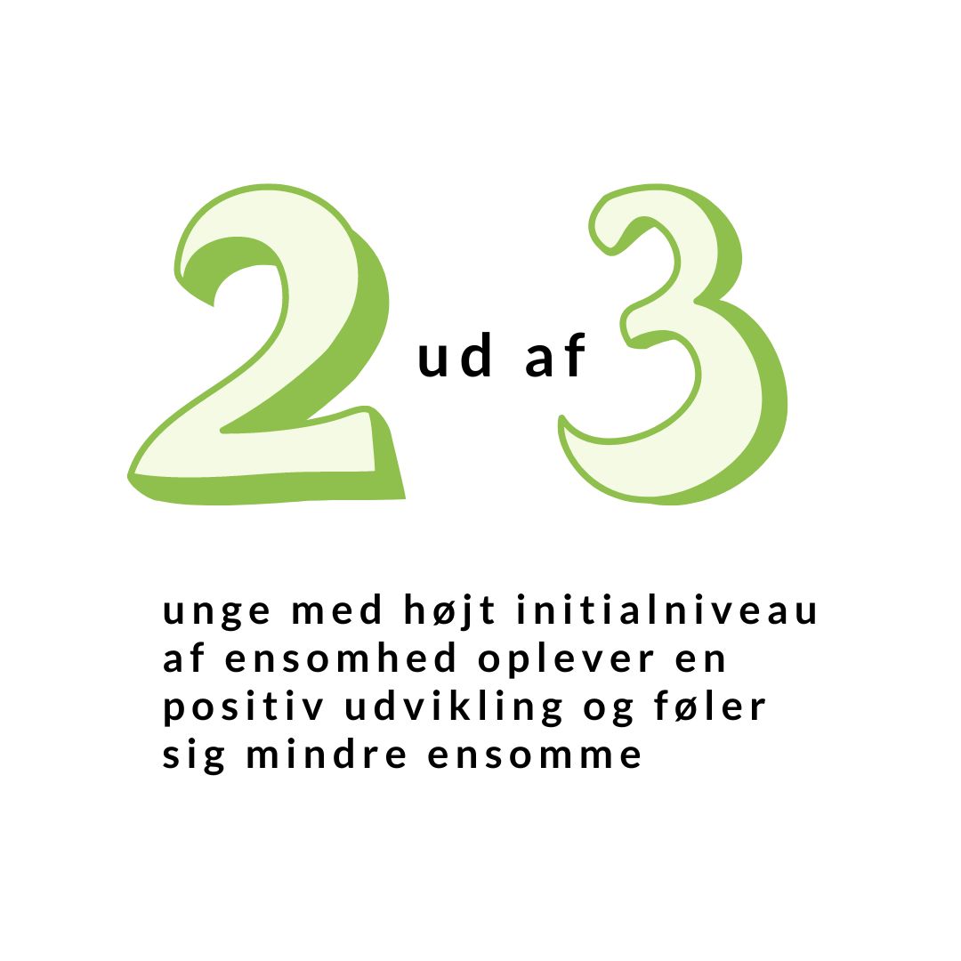 Viden 5